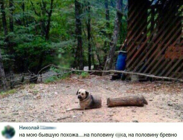 Николаи на мою бывшую похо а на половину а на половину бревно