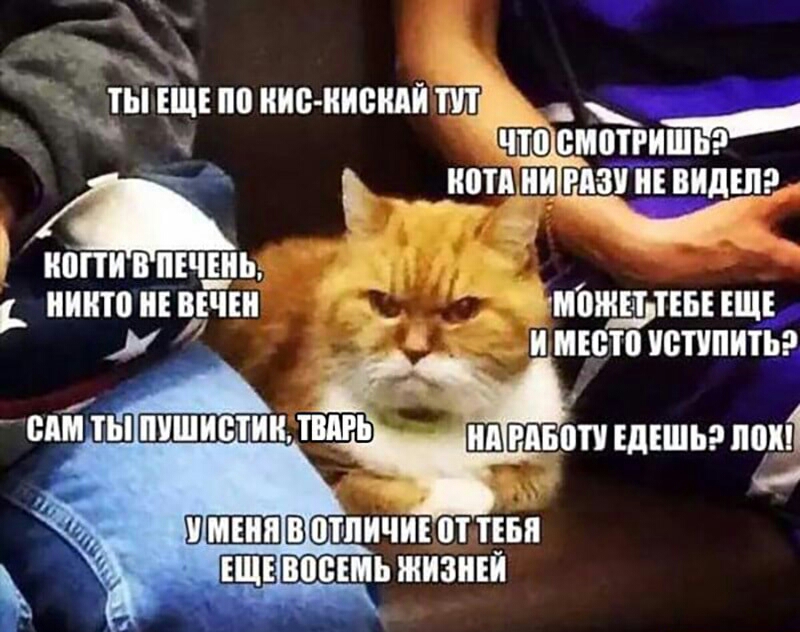 к кп _ _ ты ш по инс иисндиш 9 что смошшьэ _ншми гдзииівидшэ иопивпічдіь _ _ никто нщчіи _ патчить _ и место исппитьа