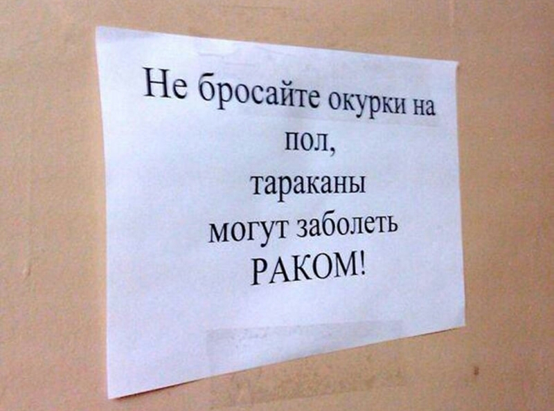 Не Оросаите окурки на пол тараканы могут заболеть РАКОМ