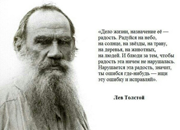 Дело ясизни назначение её радость Радуйся на небо на солнце на звезды на траву на деревья на шоп иш на шодей И блюди за тем чтобы радость эта ничем не нарушались Нарушается эта радость значит ты ошибся где нибудь ищи эту ошибку и исправят Лев Толстой