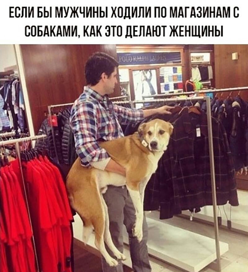 ЕСЛИ БЫ МУЖЧИНЫ ХОДИЛИ ПО МАГАЗИНАМ С СОБАКАМИ КАК ЭТО ДЕЛАЮТ ЖЕНЩИНЫ