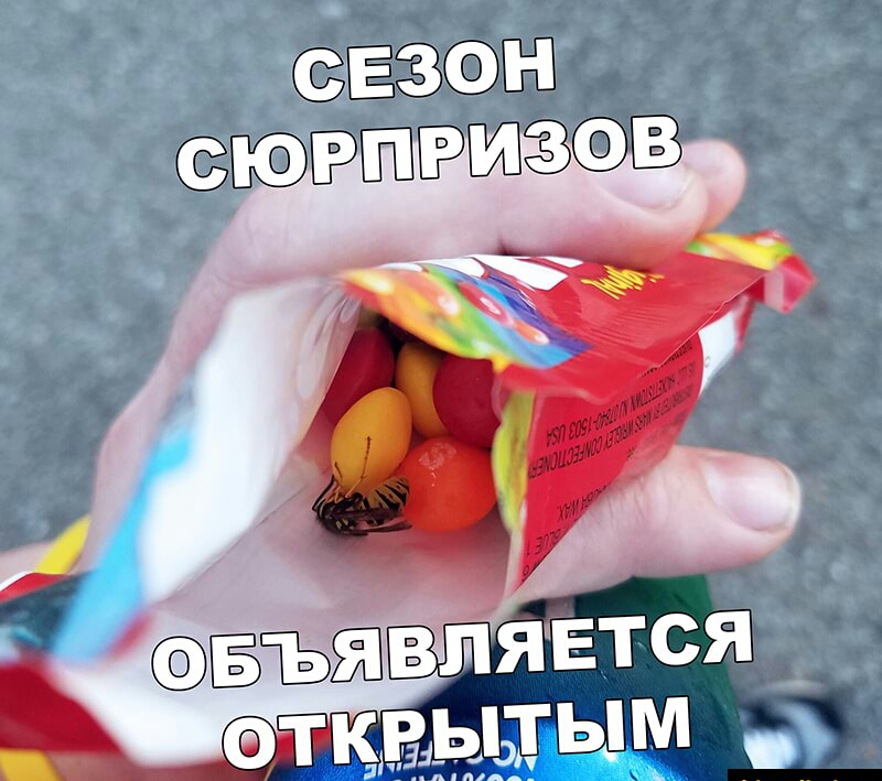 ЁЁЬЗФЭЁ ршр