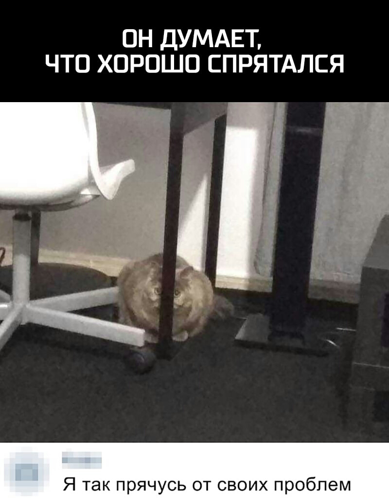 ОН ДУМАЕТ ЧТО ХОРОШО СПРЯТАЛСЯ Я так прячусь от своих проблем