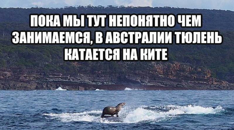 ШШ МЫ ТП НЕППНППЮ ЧЕМ ЗАНИМАЕМВП В АВСТРИИ ТЮЛШЬ ПАПЫ нд НИТ