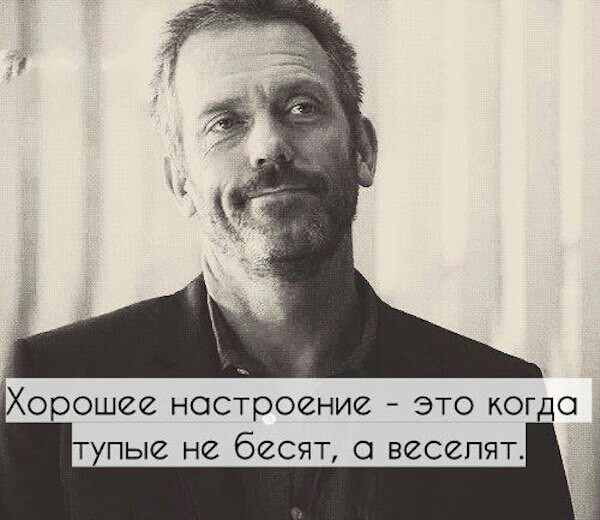 орошее настроение это когда тупые не бесят весепят