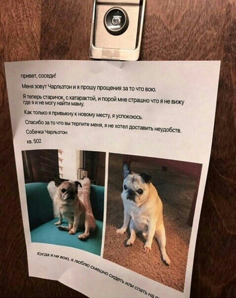 ниц мы шитчюмщиящшхмеитзашщот Яасп гпиешуюкишу июоымпишштменщ чики Мкщщсппупъшжсь М и им не а ш Чаи шт дюн идиш ц ви