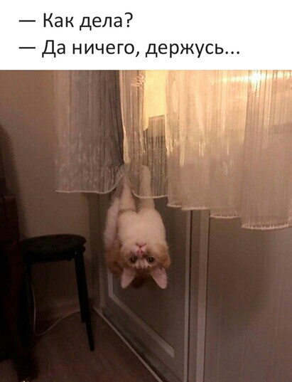 Как дела Да ничего держусь