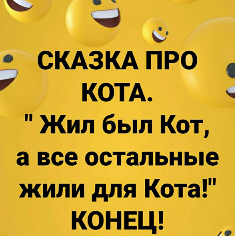 СКАЗКА про КОТА Жил был Кот а все остальные жили для Кота КОНЕЦ