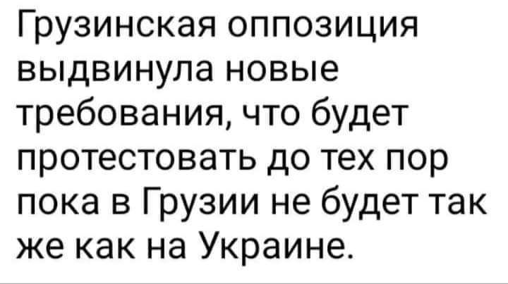 Грузинская оппозиция выдвинула новые требования что будет протестовать до тех пор пока в Грузии не будет так же как на Украине