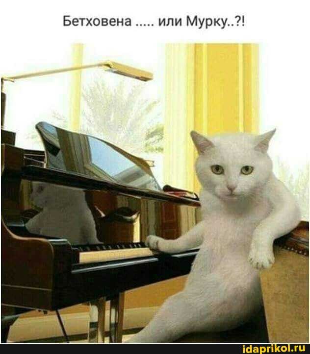 Бетховена или Мурку7
