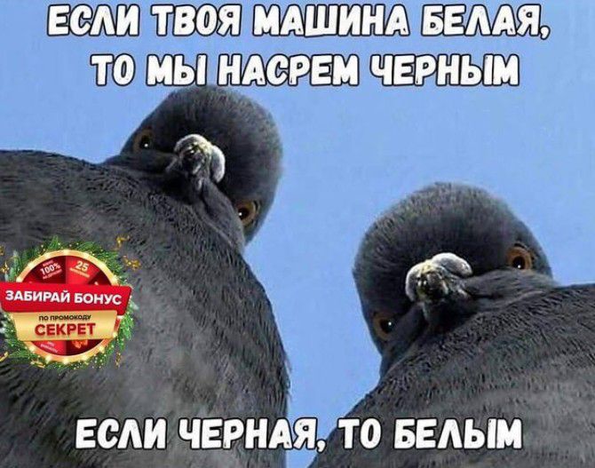 М зпиий Бонус ЕСЛИ ЧЕРНАЁ Т0 БЕАЫМ