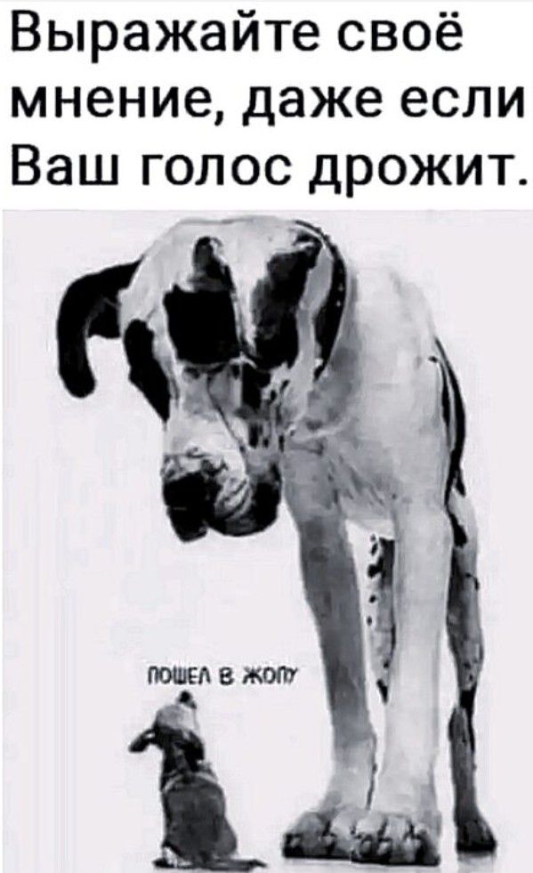 Выражайте своё мнение даже если Ваш голос дрожит