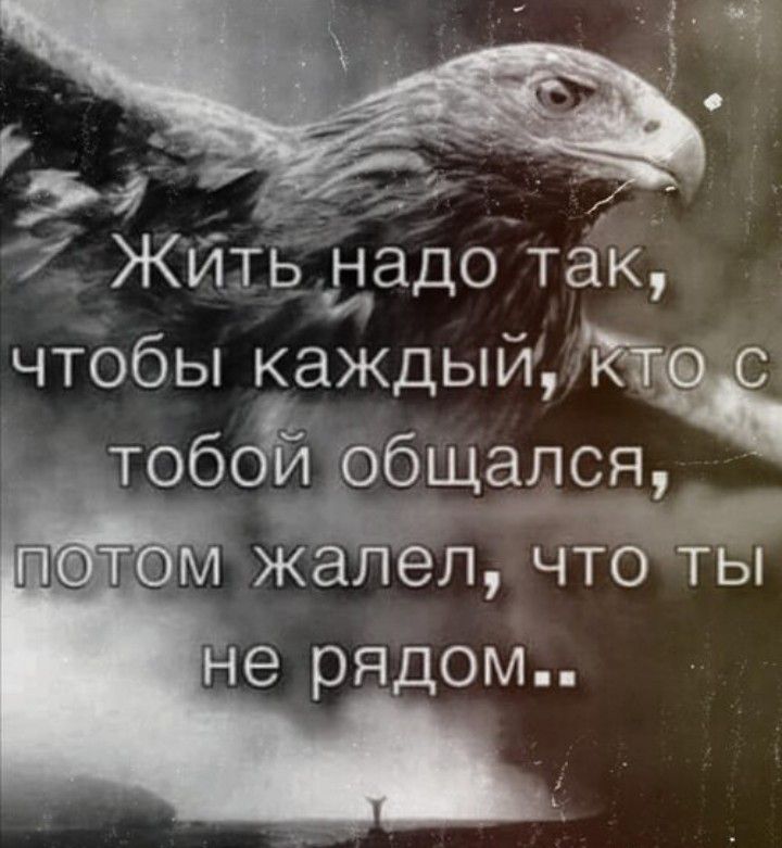 Жйть надо так чтобы каждый тобои общался т м жалел чтрты не рядом