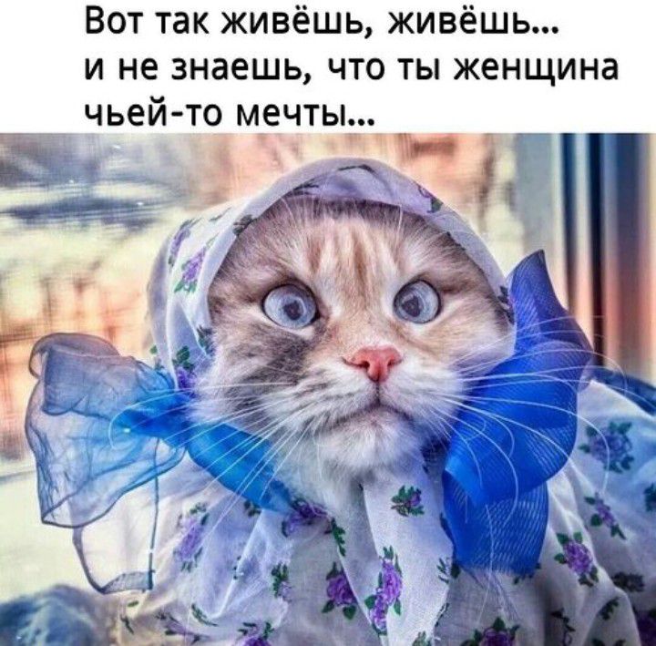 Вот так живёшь живёшь и не знаешь что ты женщина чьей то мечты