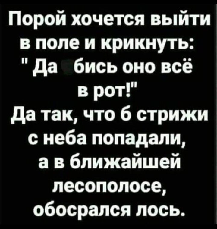 Порой хочется выйти в поле и крикнуть да бись оно всё в рот да так что 6 стрижи неба попадали а в ближайшей лесополосе обосрался лось