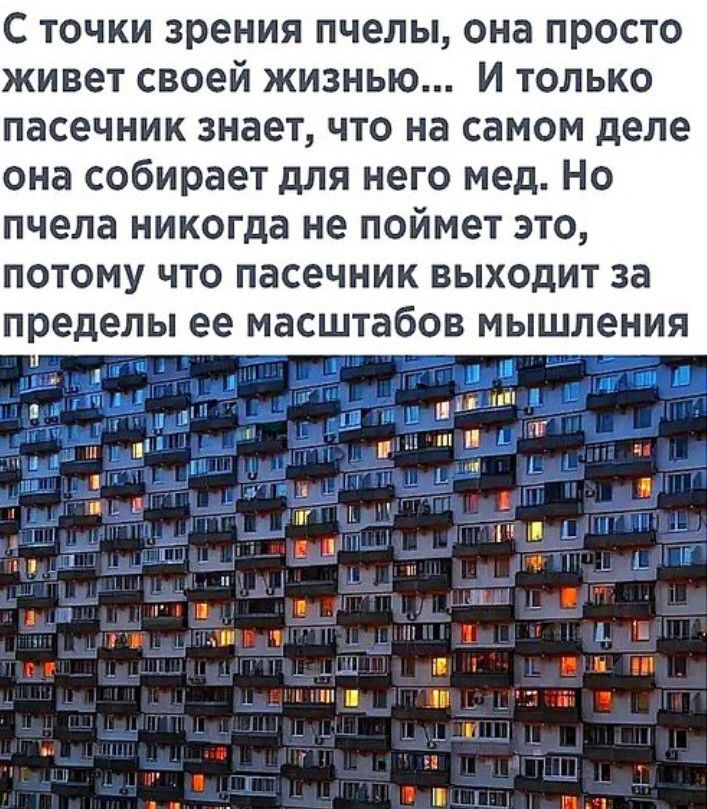 с точки зрения пчелы она просто живет своей жизнью И только пасечник знает что на самом деле она собирает для него мед Но пчела никогда не поймет это потому что пасечник выходит за пределы ее масштабов мышления