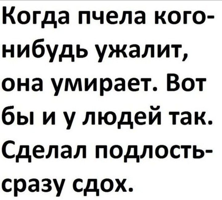 Когда пчела кого нибудь ужалит она умирает Вот бы и у людей так Сделал подлость сразу сдох