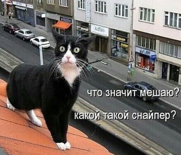 Т что значйТЁшагёЁг