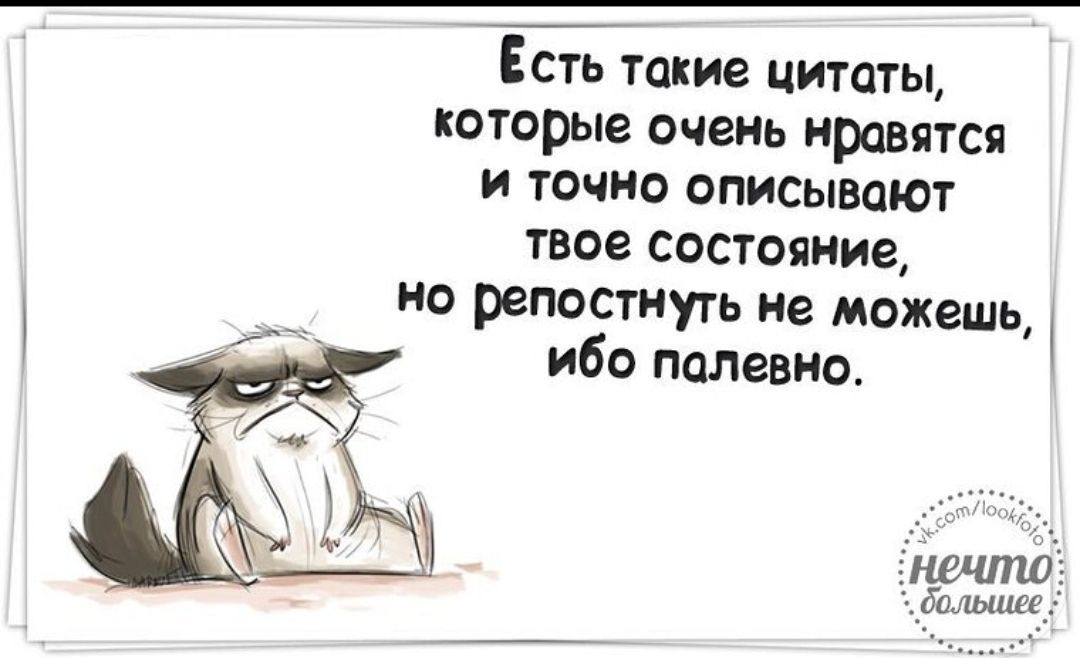 Есть такие цитаты которые очень нравятся и точно описывают твое состояние ио репостнугь не можешь ибо папевмо