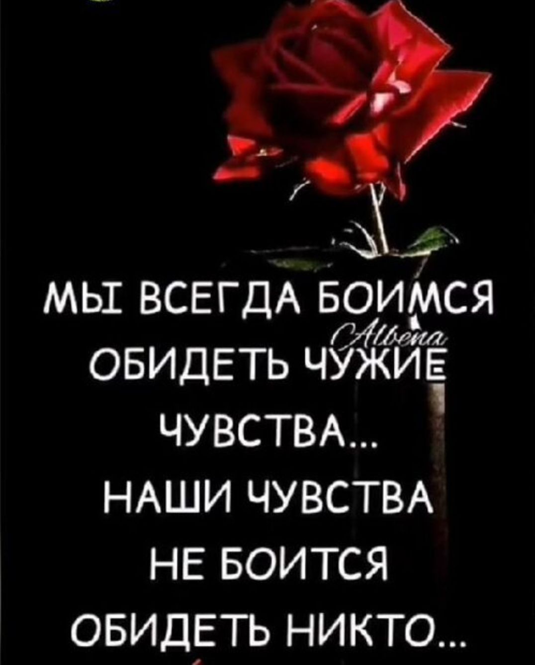 Мы всегда боимся обидеть чужие чувства... Наши чувства не боятся обидеть никого...