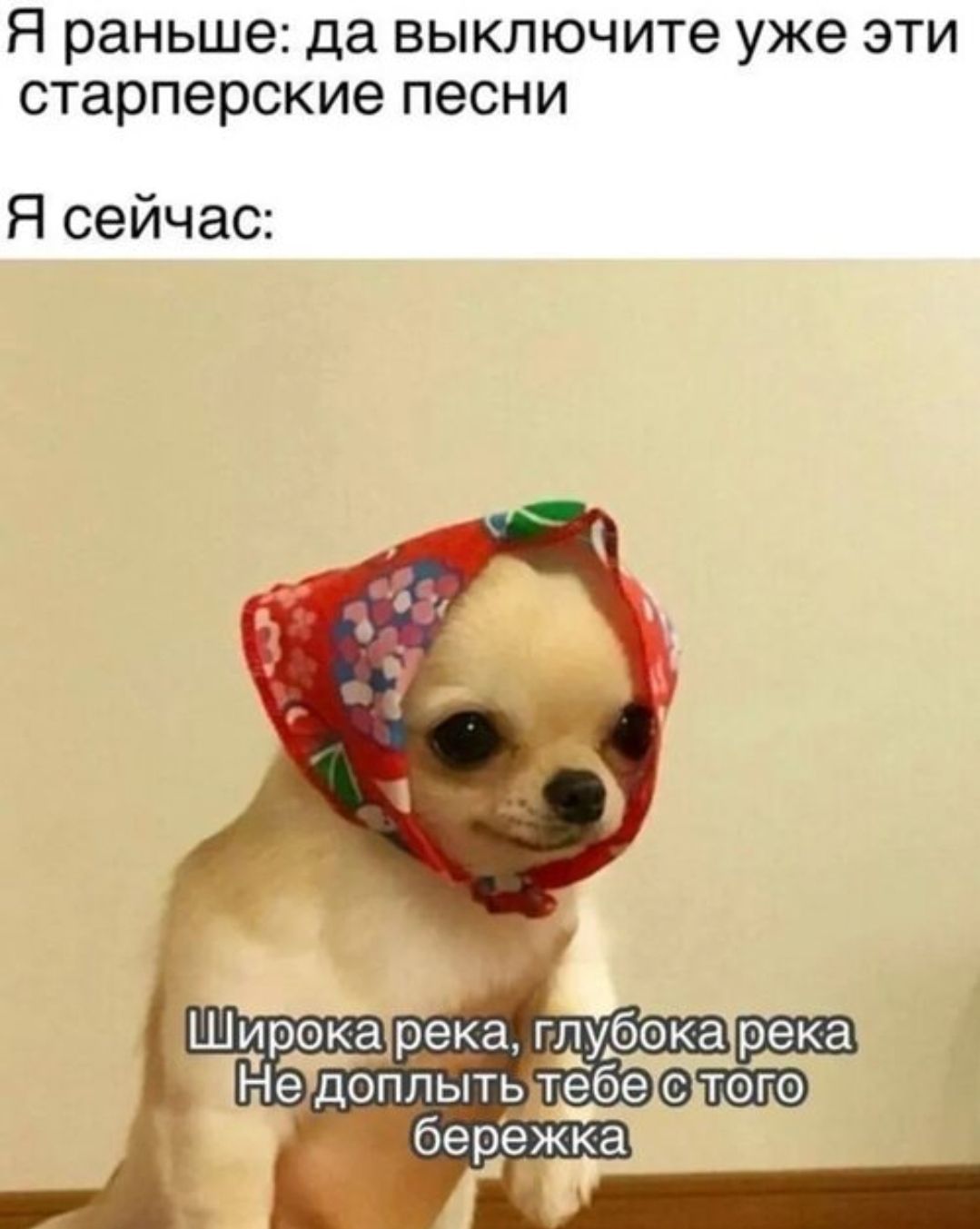 Я раньше: да выключите уже эти старперские песни Я сейчас: Широка река, глубока река Не доплуть тебе с того бережка