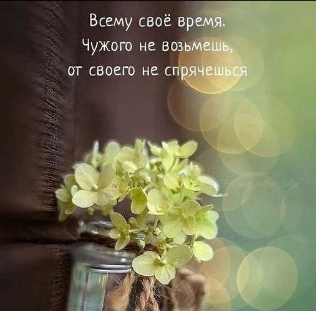 Всем своё время. Чужого не возьмешь, от своего не спрячешься