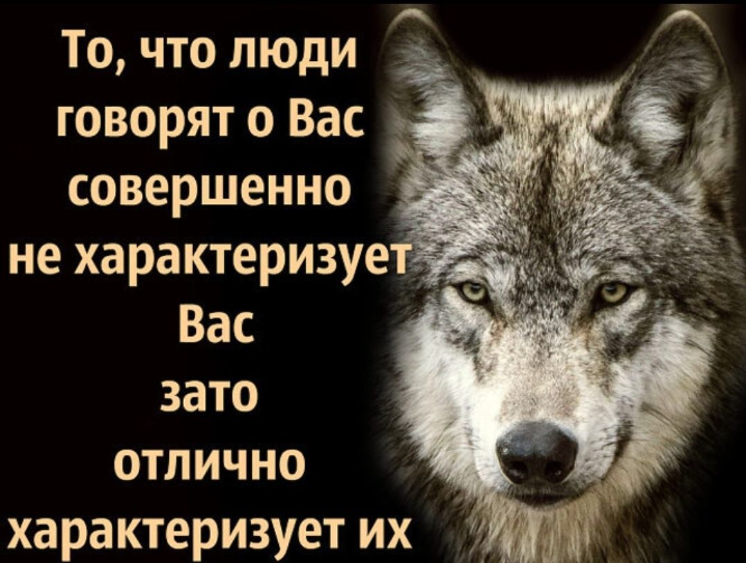 То, что люди говорят о Вас совершенно не характеризует Вас зато отлично характеризует их