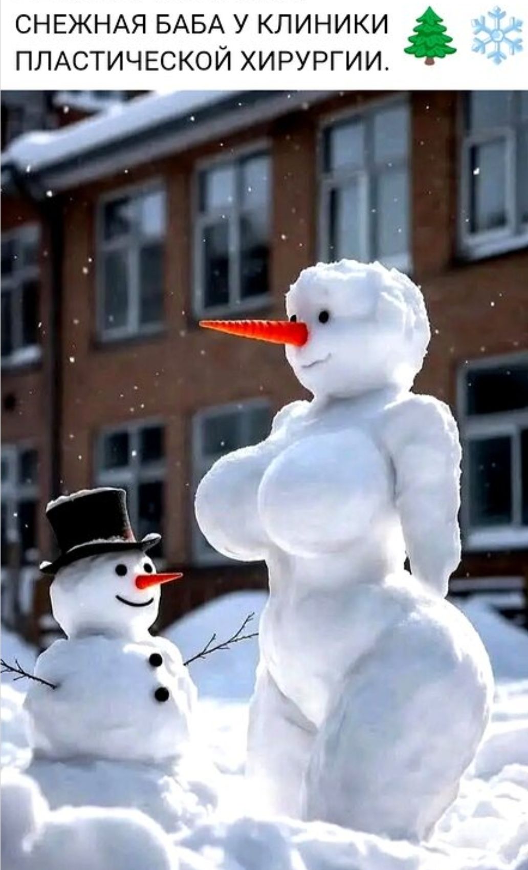 СНЕЖНАЯ БАБА У КЛИНИКИ ПЛАСТИЧЕСКОЙ ХИРУРГИИ. 🌲❄️