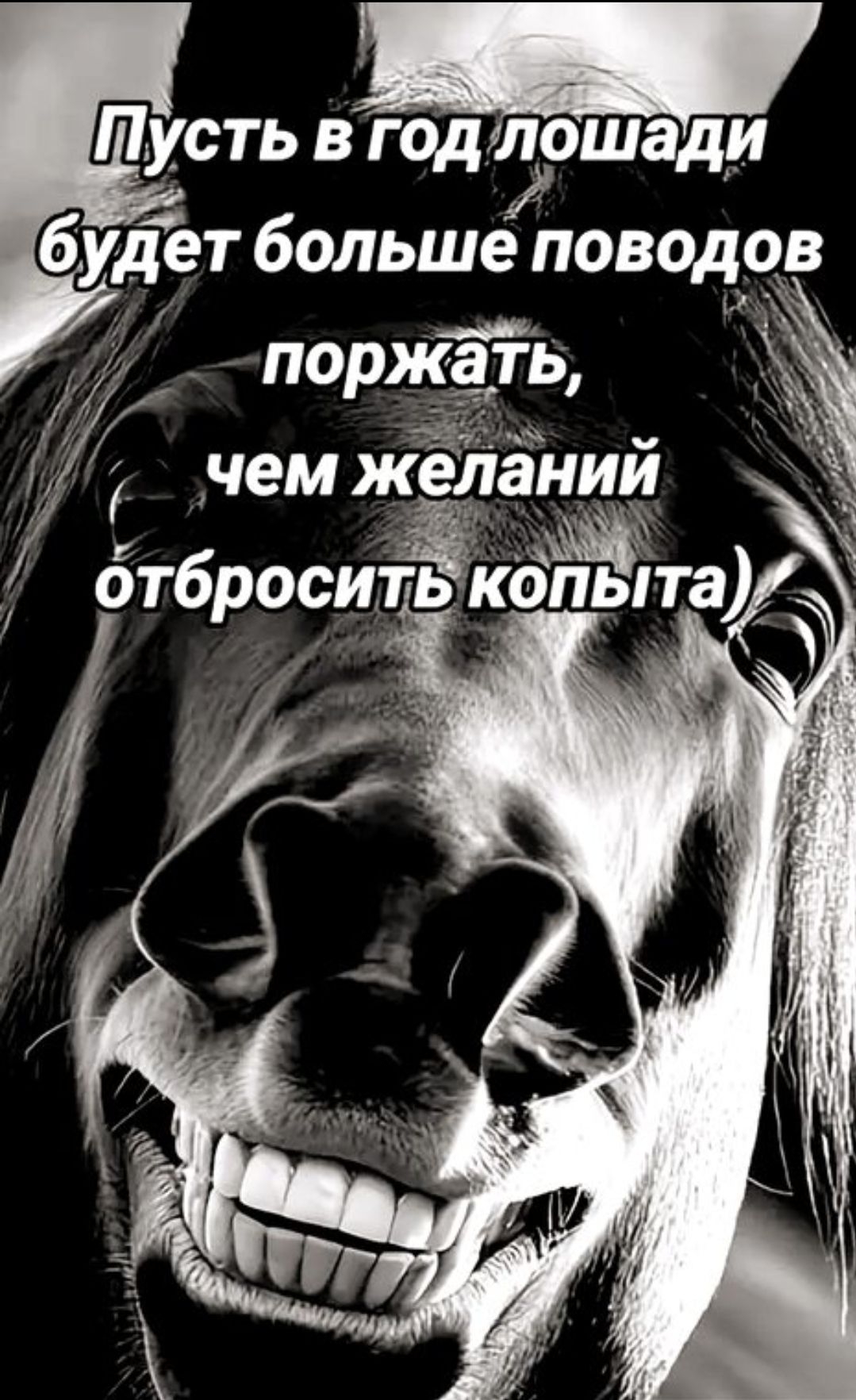 Пусть в годлошади будет больше поводов поржать, чем желаний отбросить копыта)