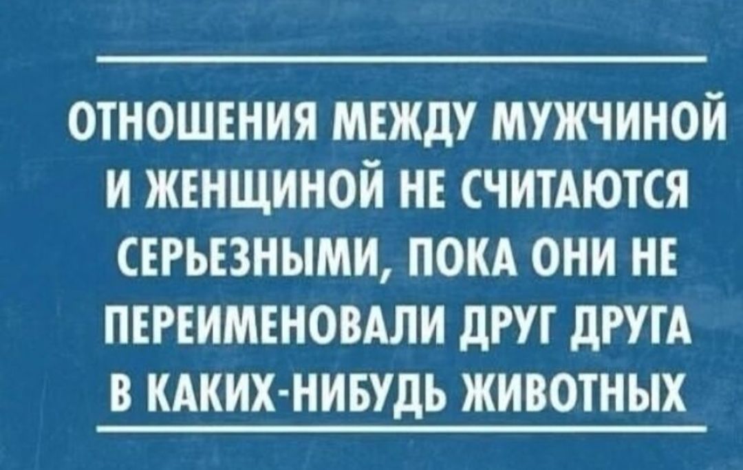 ОТНОШЕНИЯ МЕЖДУ МУЖЧИНОЙ И ЖЕНЩИНОЙ НЕ СЧИТАЮТСЯ СЕРЬЕЗНЫМИ, ПОКА ОНИ НЕ ПЕРЕИМЕНОВАЛИ ДРУГ ДРУГА В КАКИХ-НИБУДЬ ЖИВОТНЫХ