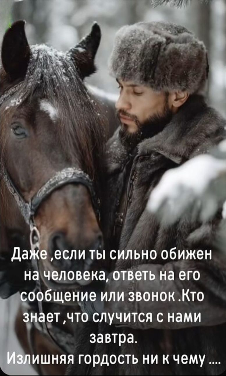 Даже если ты сильно обижен на человека, ответь на его сообщение или звонок. Кто знает ,что случится с нами завтра. Излишняя гордость ни к чему ....