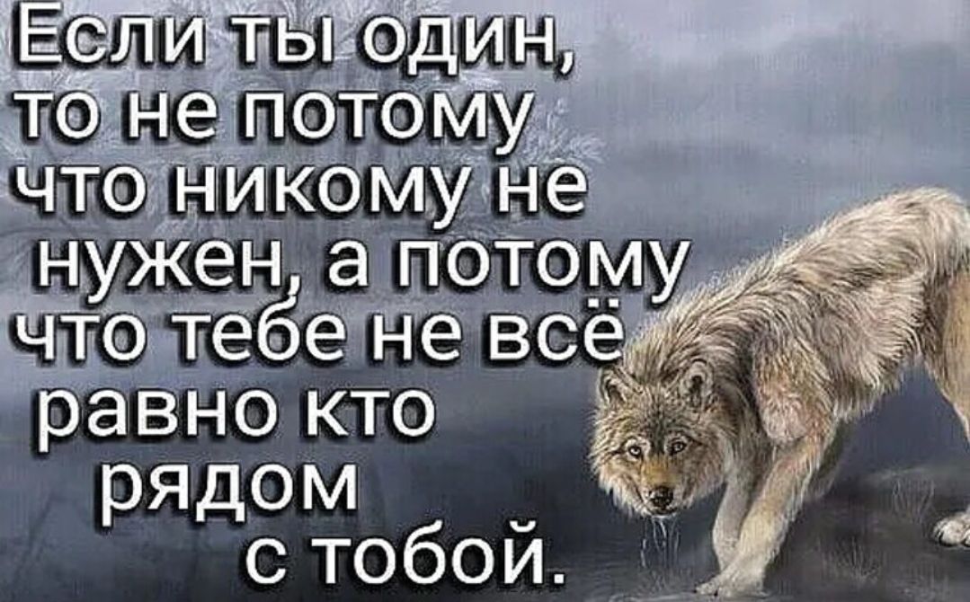 Если ты один, то не потому что никому не нужен, а потому что тебе не всё равно кто рядом с тобой.