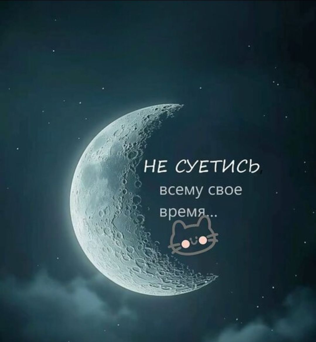 НЕ СУЕТИСЬ всему свое время...