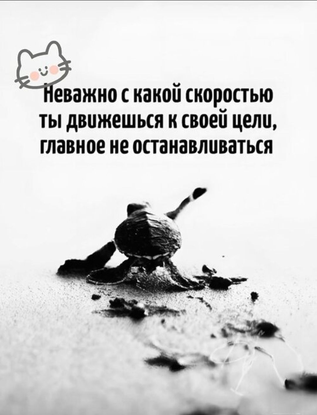 Неважно с какой скоростью ты движешься к своей цели, главное не останавливаться