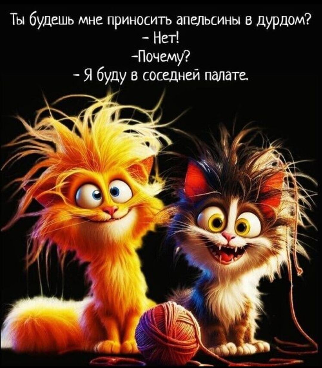 Ты будешь мне приносить апельсины в дурдом? - Нет! -Почему? - Я буду в соседней палате.
