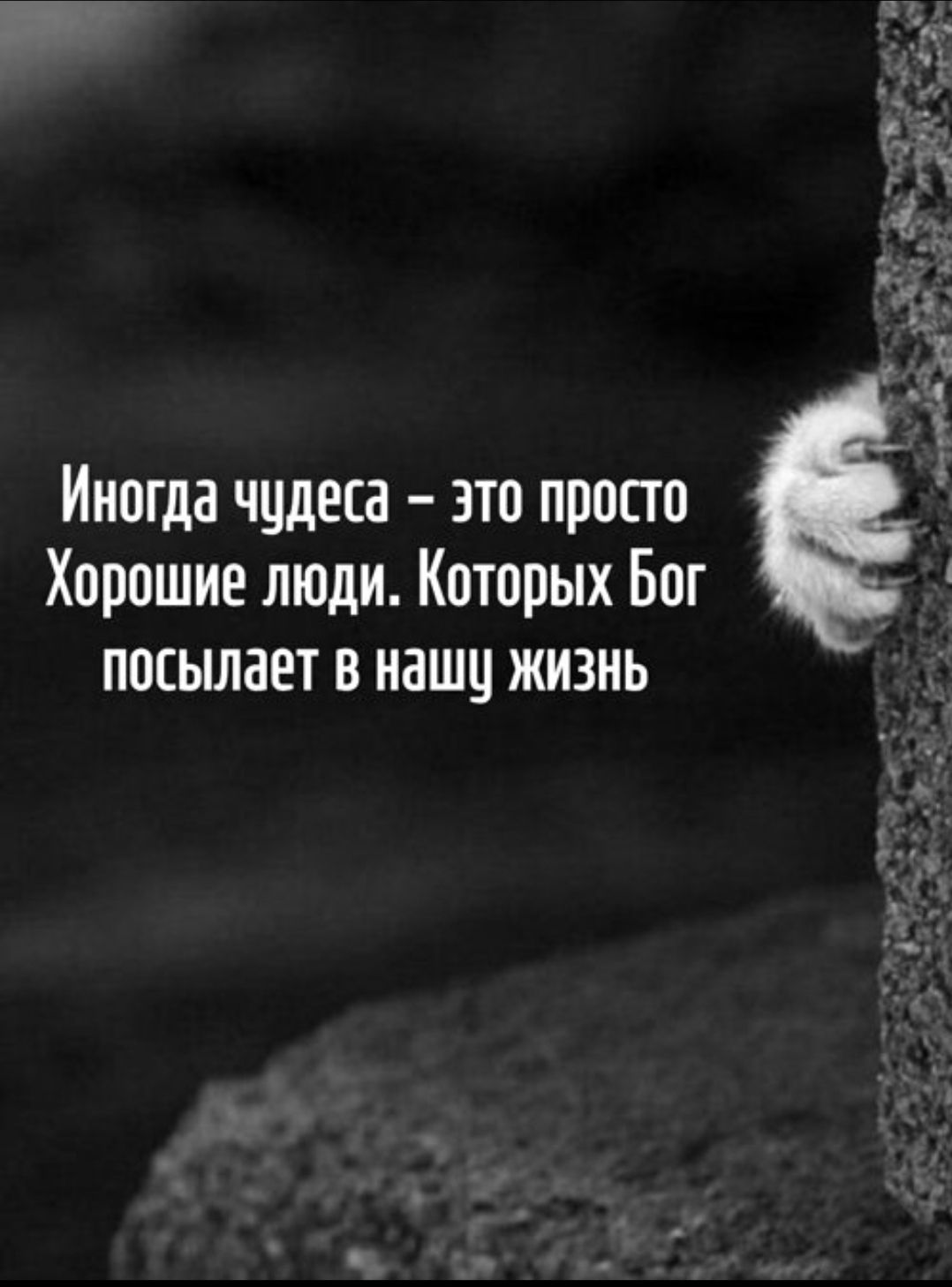 Иногда чудеса – это просто Хорошие люди. Которые Бог посылает в нашу жизнь