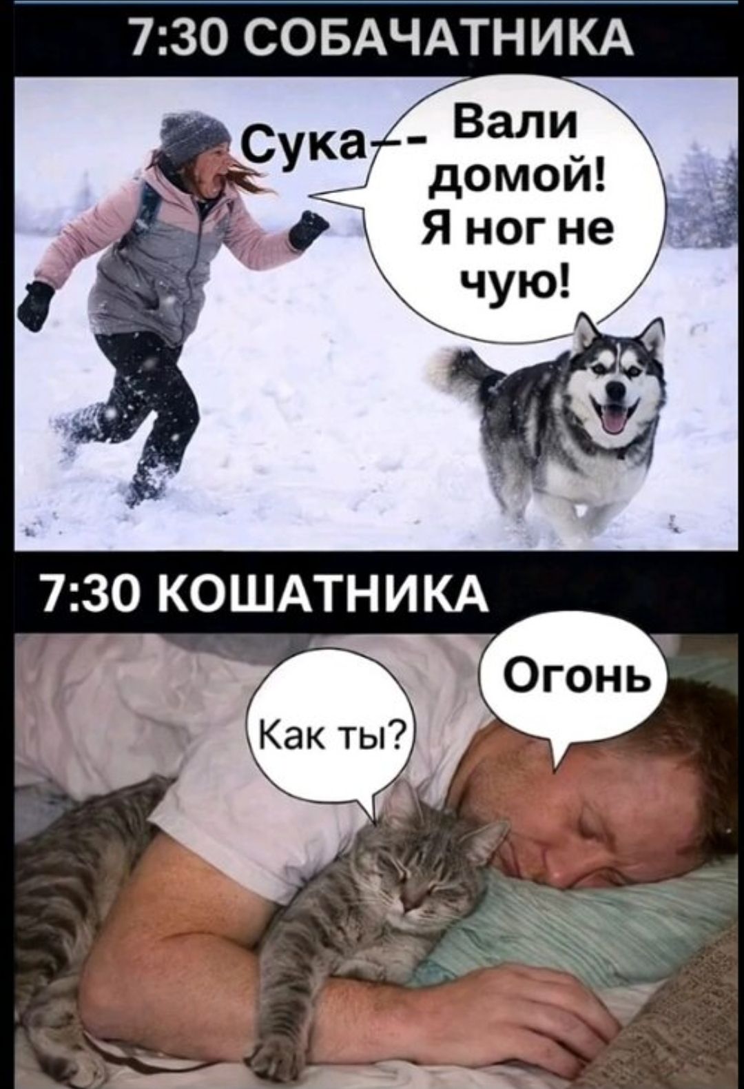 Сука — Вали домой! Я ног не чую! Как ты? Огонь