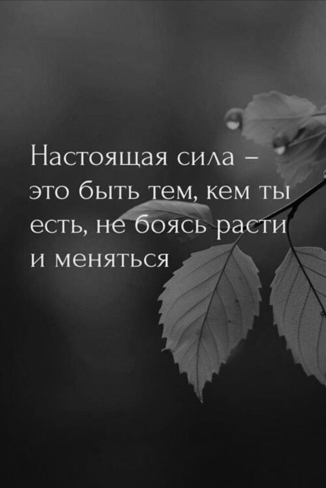 Настоящая сила – это быть тем, кем ты есть, не боясь расти и меняться