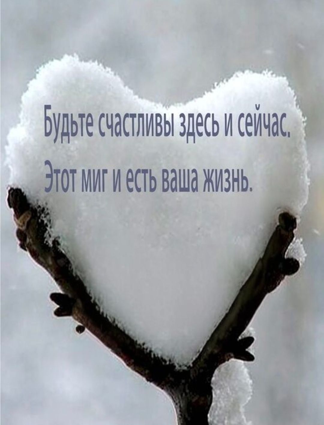 Будьте счастливы здесь и сейчас. Этот миг и есть ваша жизнь.