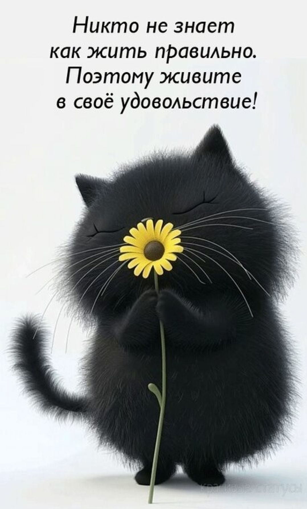 Никто не знает как жить правильно. Поэтому живите в своё удовольствие!