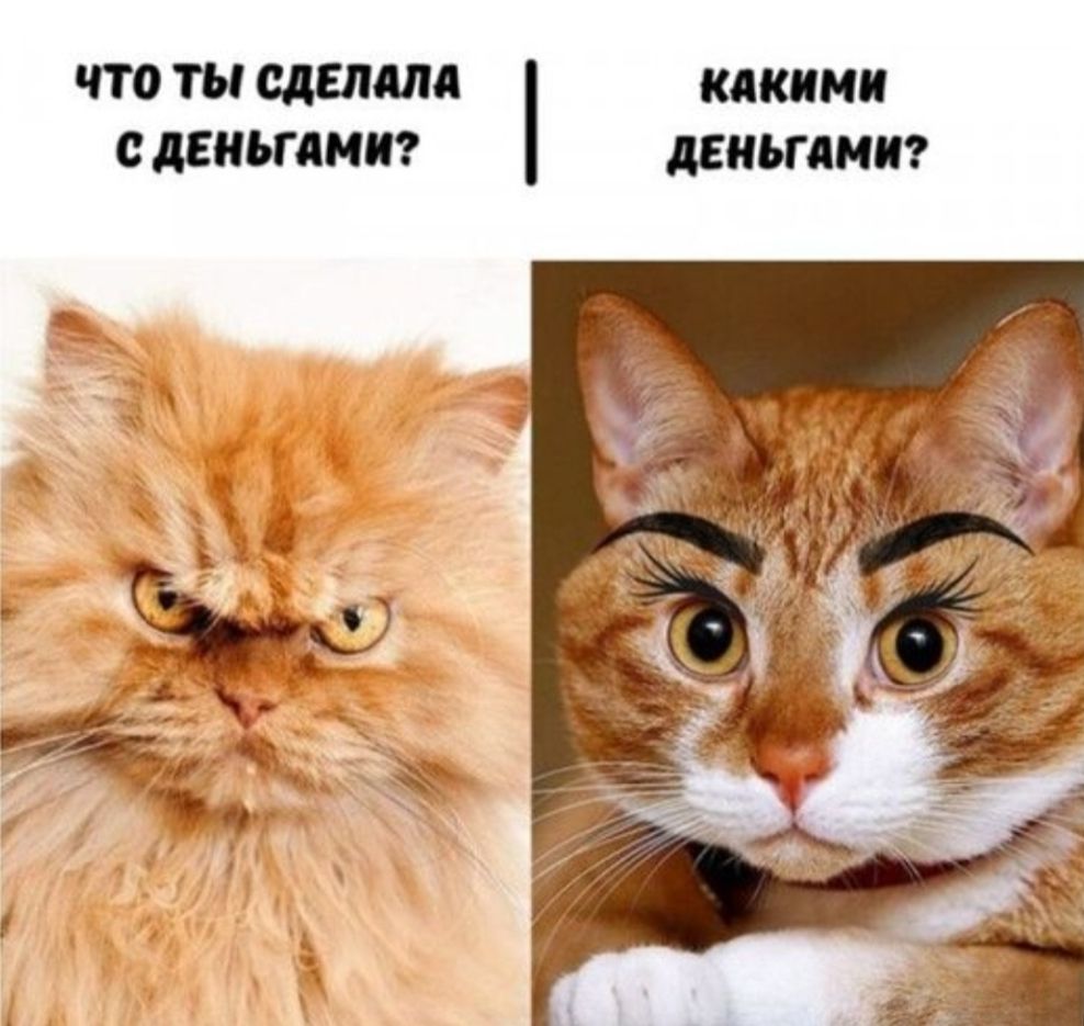 ЧТО ТЫ СДЕЛАЛА С ДЕНЬГАМИ? | КАКИМИ ДЕНЬГАМИ?