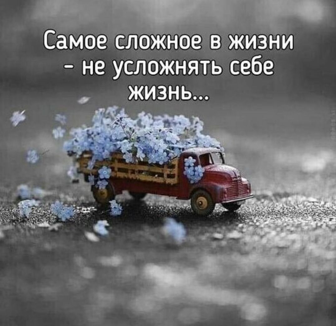 Самое сложное в жизни - не усложнять себе жизнь...