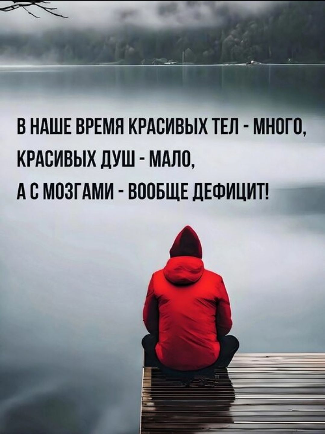 В НАШЕ ВРЕМЯ КРАСИВЫХ ТЕЛ - МНОГО, КРАСИВЫХ ДУШ - МАЛО, А С МОЗГАМИ - ВООБЩЕ ДЕФИЦИТ!