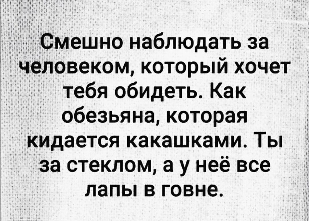 Смешно наблюдать за человеком, который хочет тебя обидеть. Как обезьяна, которая кидается какашками. Ты за стеклом, а у неё все лапы в говне.