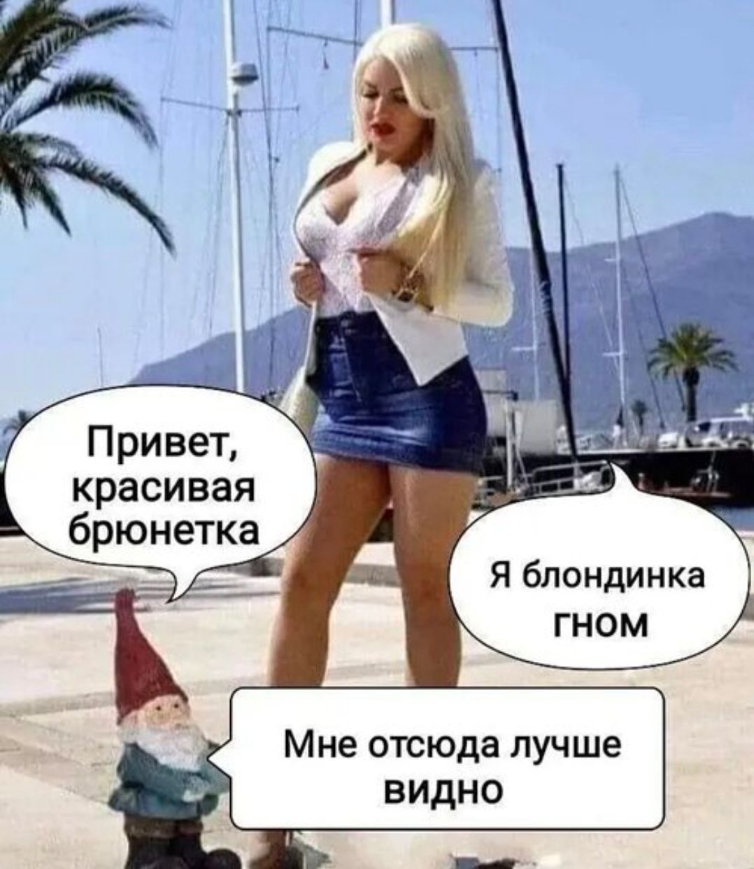 Привет, красивая брюнетка Я блондинка гном Мне отсюда лучше видно