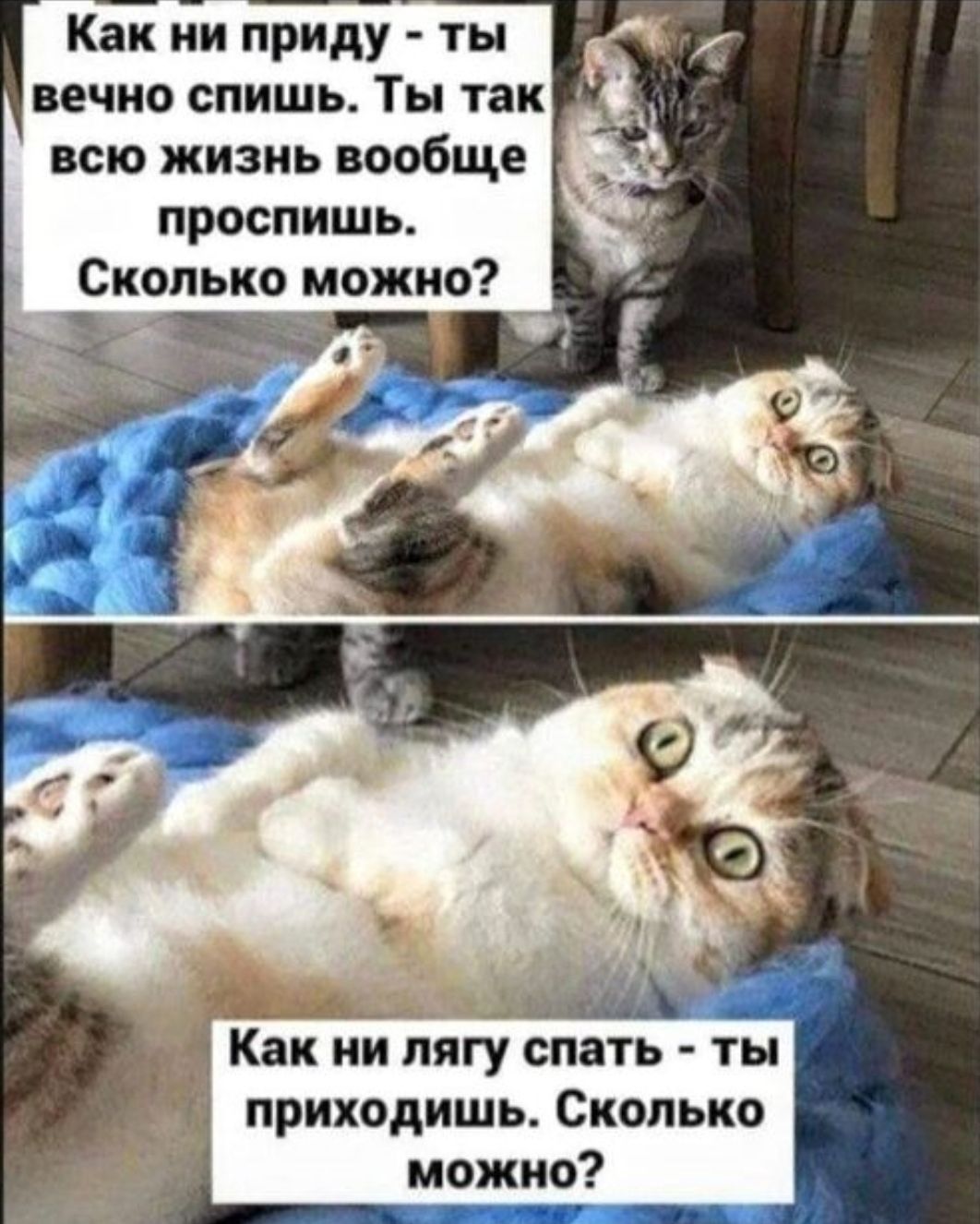 Как ни приду - ты вечно спишь. Ты так всю жизнь вообще проспишь. Сколько можно? 
Как ни лягу спать - Ты приходишь. Сколько можно?