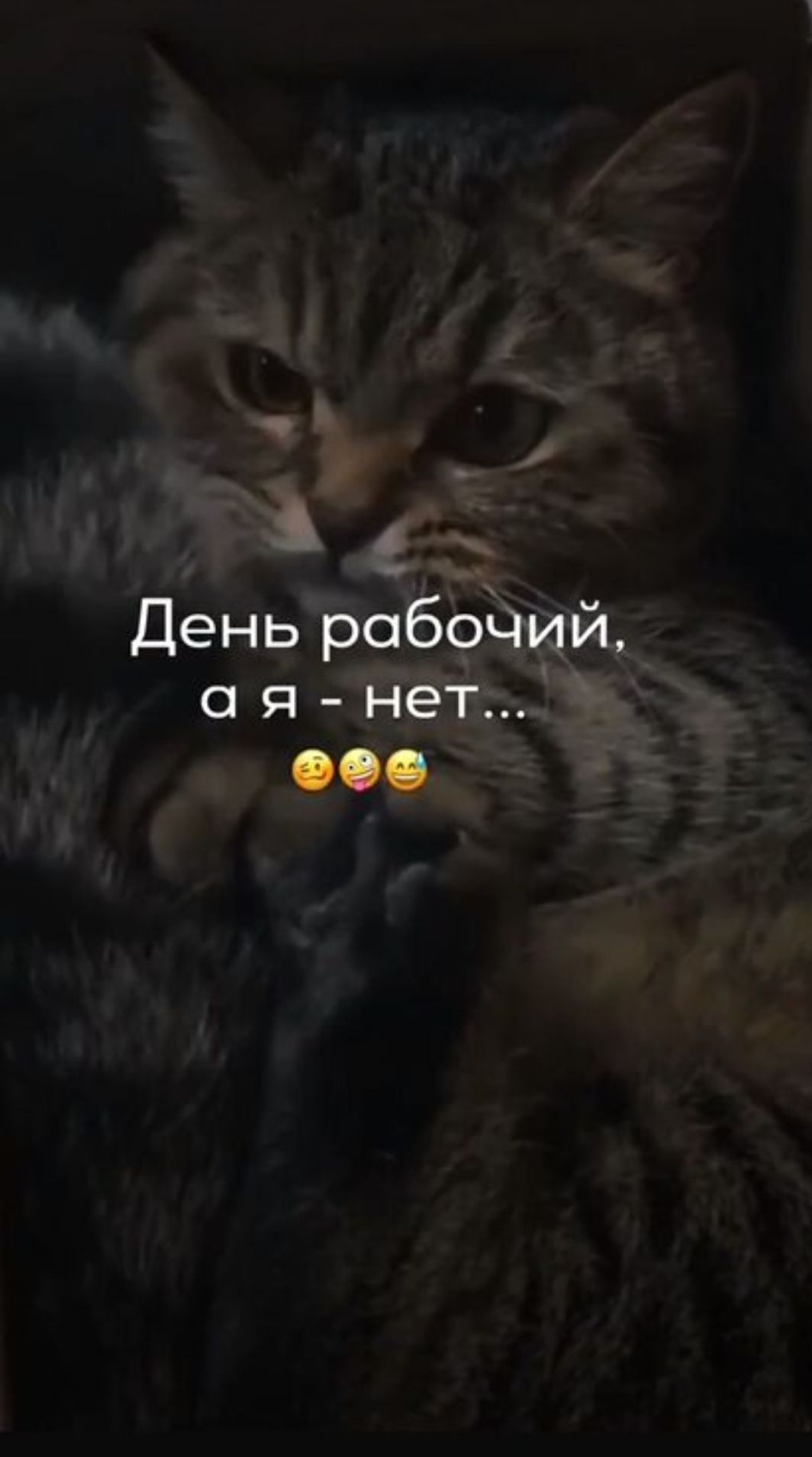 День рабочий, а я - нет...