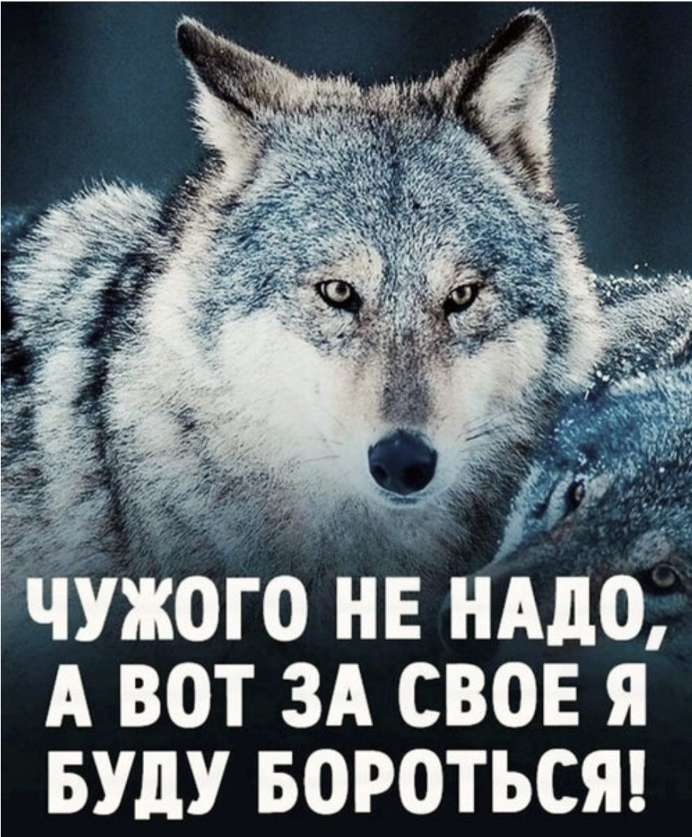 Чужого не надо, а вот за свое я буду бороться!