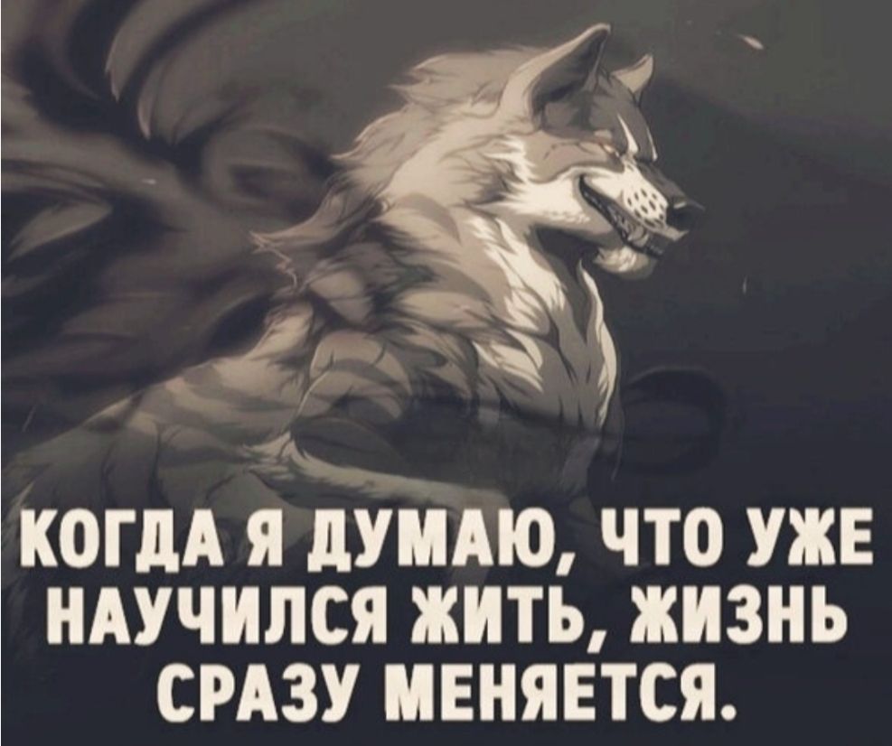 КОГДА Я ДУМАЮ, ЧТО УЖЕ НАУЧИЛСЯ ЖИТЬ, ЖИЗНЬ СРАЗУ МЕНYaЕТСЯ.