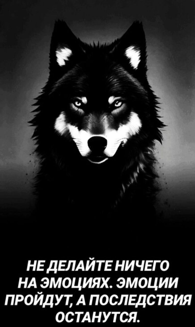 НЕ ДЕЛАЙТЕ НИЧЕГО НА ЭМОЦИЯХ. ЭМОЦИИ ПРОЙДУТ, А ПОСЛЕДСТВИЯ ОСТАНУТСЯ.